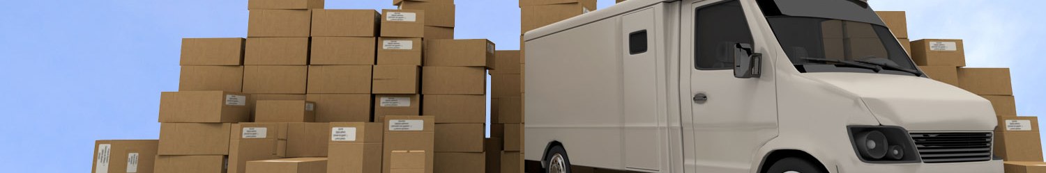 Packers and Movers in Raipur